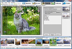 Работа с фотографиями: обрезка снимка и уменьшение размера